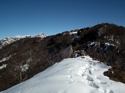 27 Vista in Poieto, Alben, Suchello